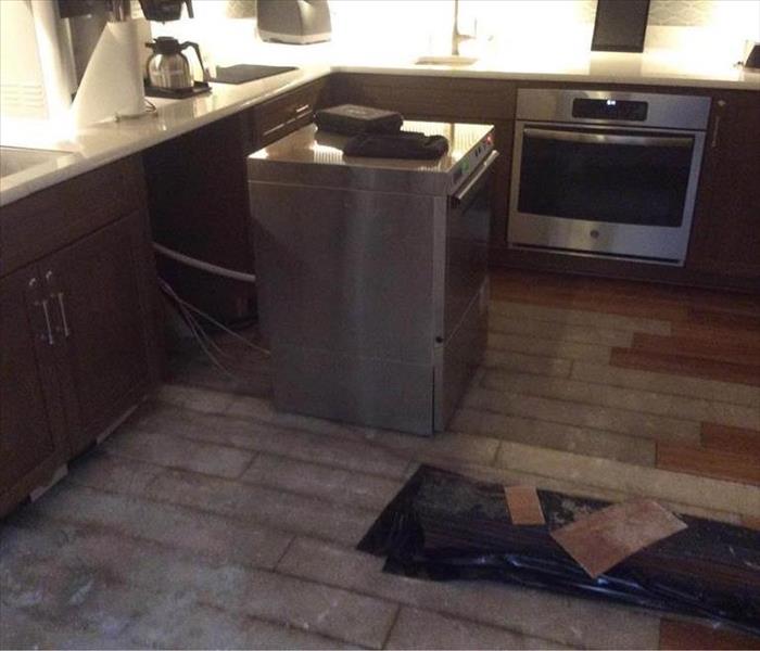 Dishwasher in kitchen damaged wood floor