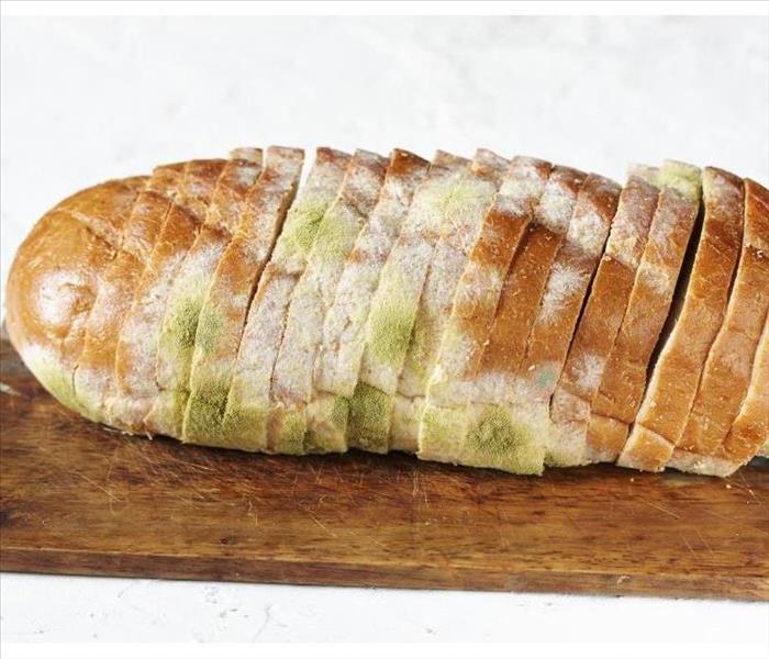mold on bread loaf
